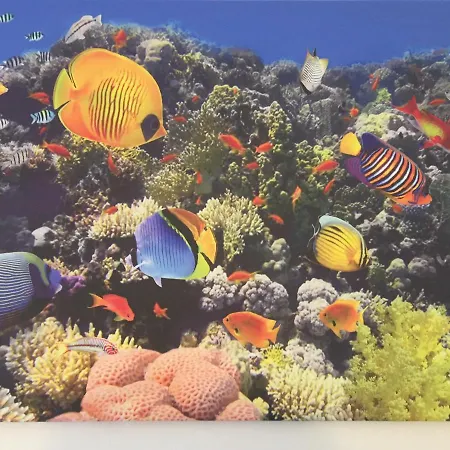 Domo Mea Villasimius