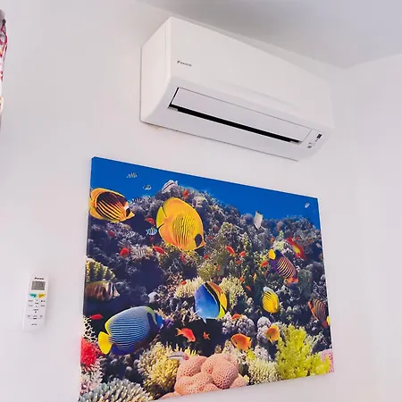 Domo Mea Apartment *
